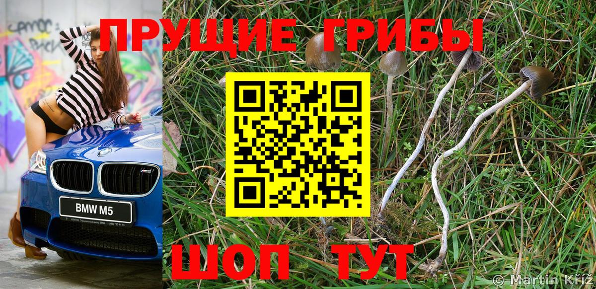Галлюциногенные грибы прущие грибы  Вход с VPN  Ижевск 